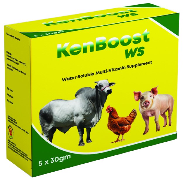 KenBoost WS product pack