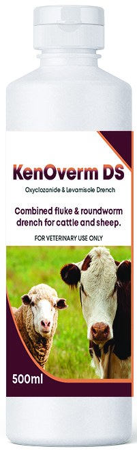 KenOverm DS product pack