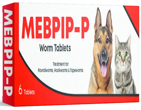 Mebpip-P product pack